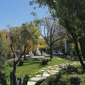 Afrodite Accomodation